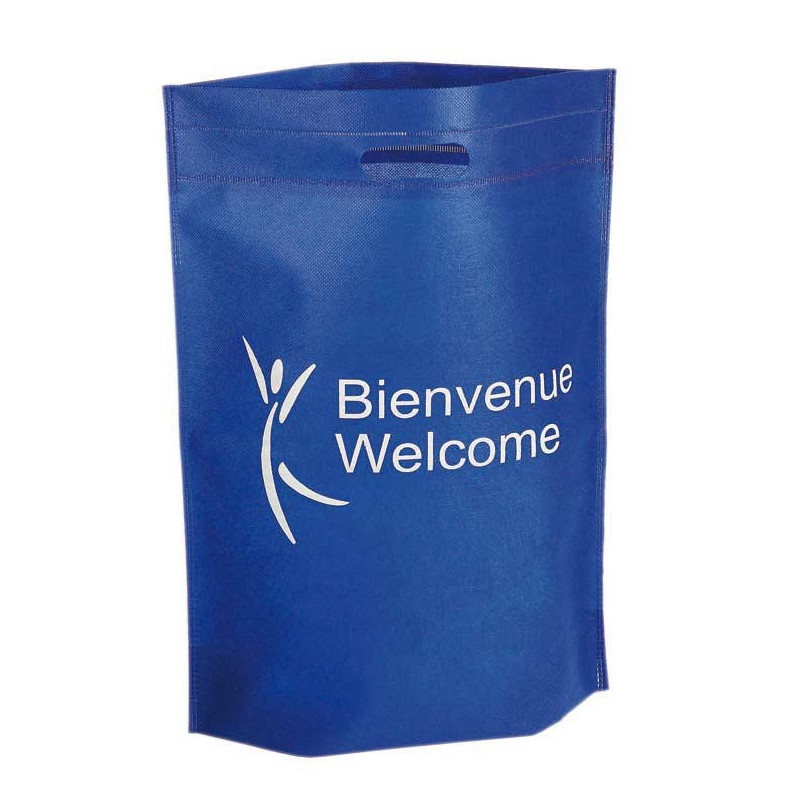 SAC D ACCUEIL PLAT AVEC SOUFFLET VERT "Bienvenue - Welcome"